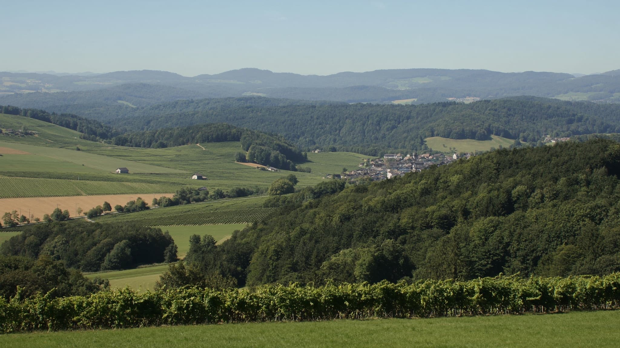 Ausflüge zwischen Zürich und Basel: Mandach als ruhige, zentrale Basis