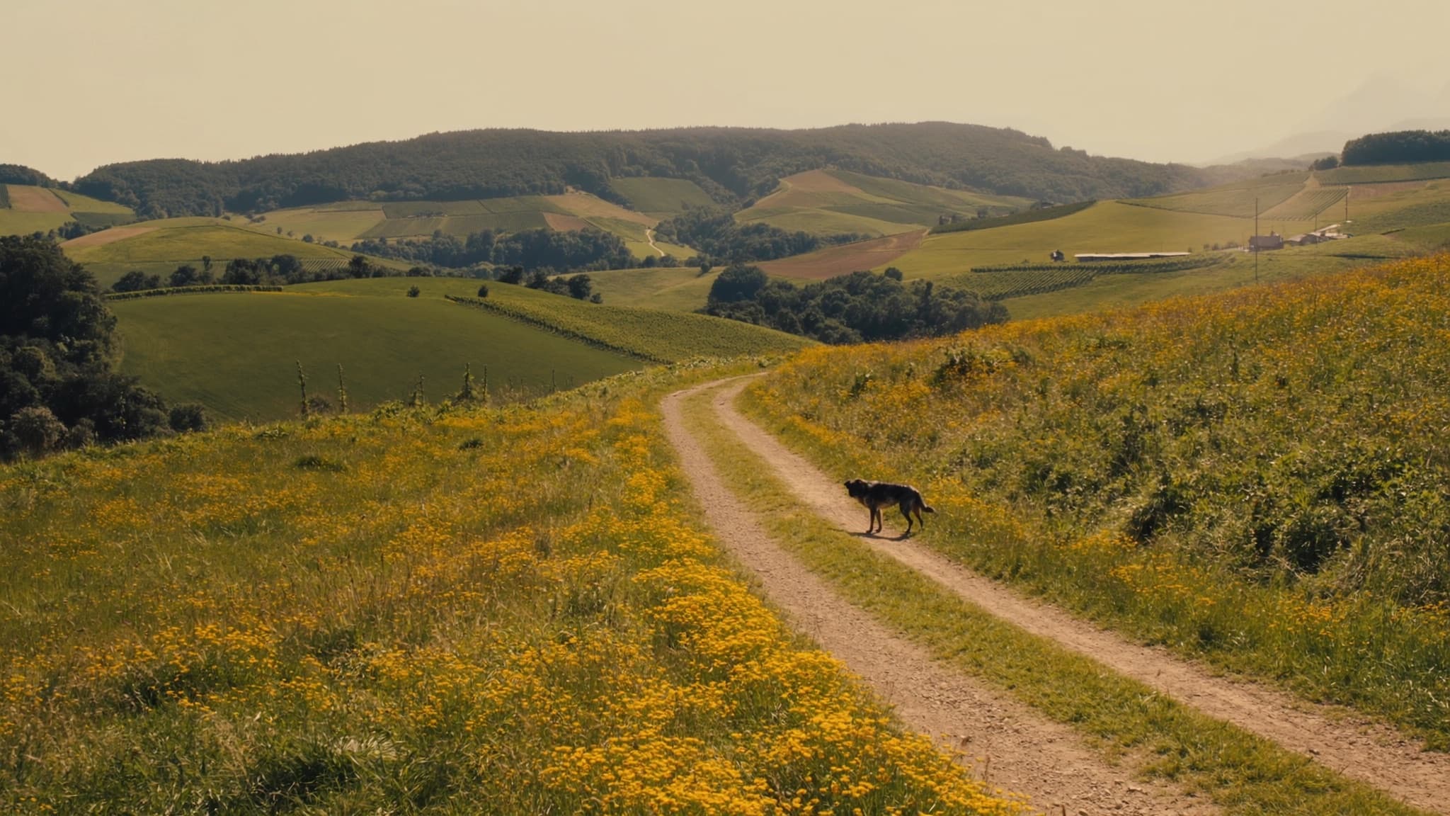 Ferienwohnung mit Hund im Jurapark Aargau – Natur pur in Mandach