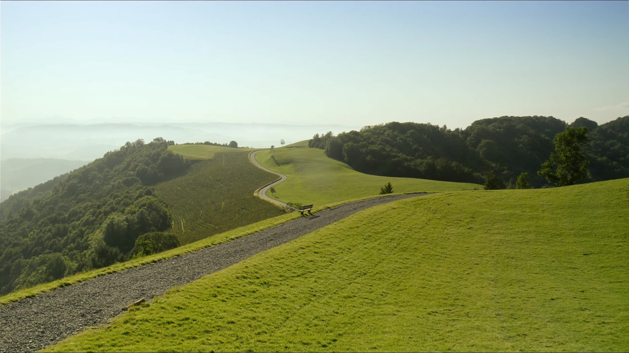 Hiking in Jurapark Aargau: The Most Beautiful Trails Around Mandach